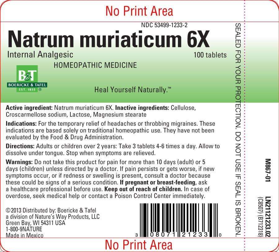 Natrum muriaticum